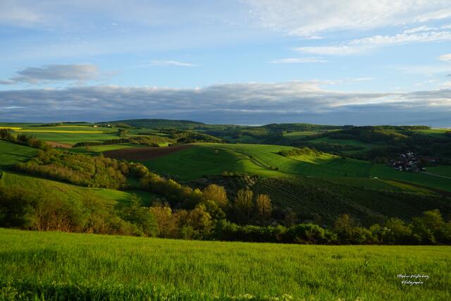 Frühling am Bangert bei Mannweiler / Nordpfälzer Land | Foto: Stephen Wüstenberg Photographie - Wartenberg-Rohrbach