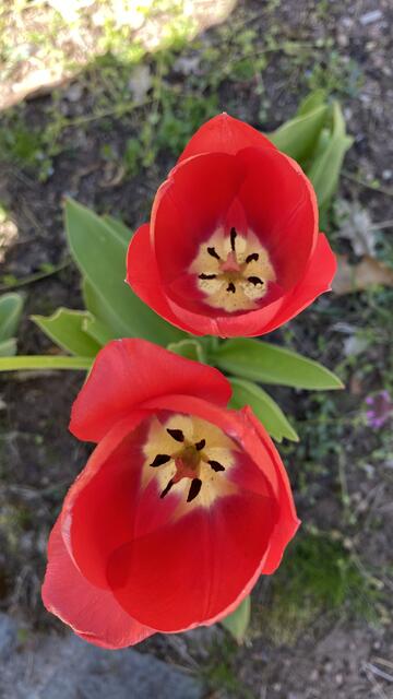 Foto: JP-Photografie  (www.jp-photografie.de)