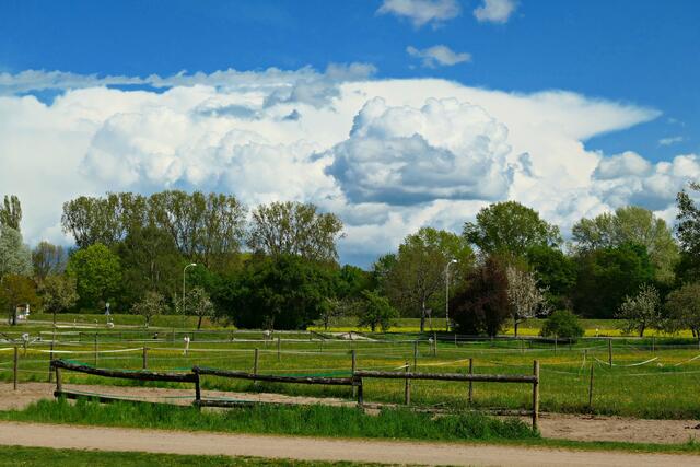 Dicke Wolken über der Kollerinsel | Foto: Brigitte Melder