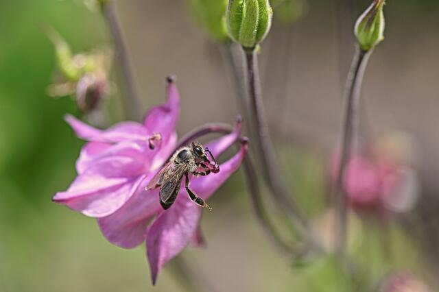 Foto: Ilona Schäfer