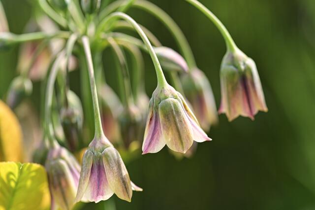 Foto: Ilona Schäfer