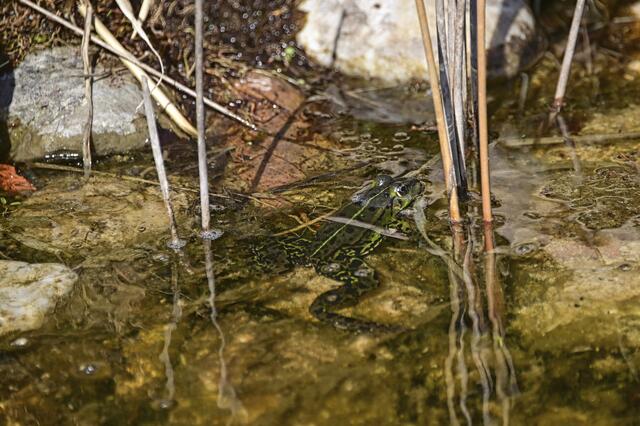 Foto: Ilona Schäfer