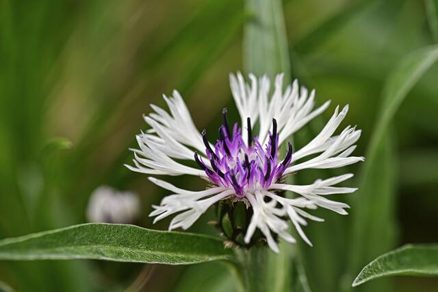 Foto: Ilona Schäfer