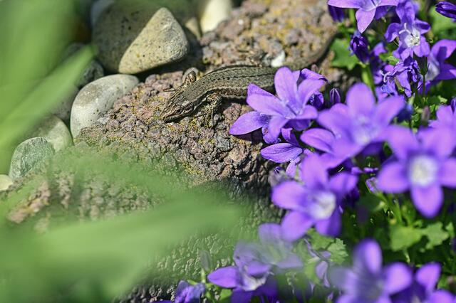 Foto: Ilona Schäfer