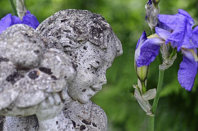 Foto: Ilona Schäfer