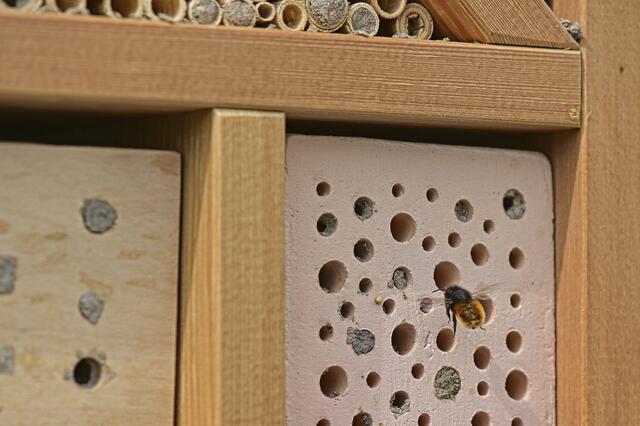 Foto: Ilona Schäfer