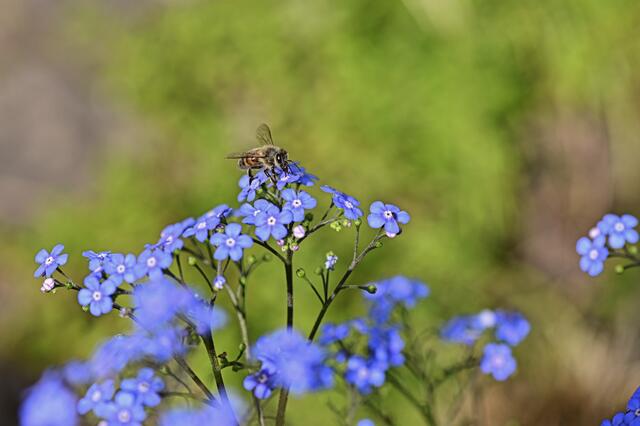 Foto: Ilona Schäfer