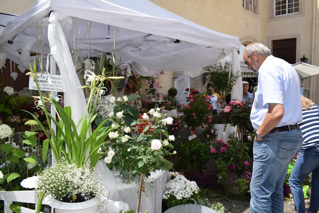 Rosenmarkt 2019 im Schlossinnenhof | Foto: B. Bender