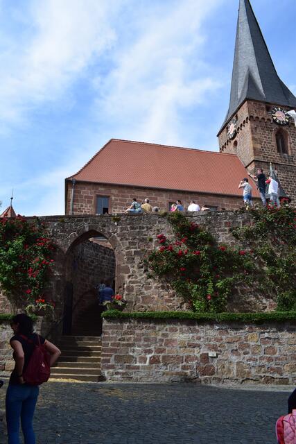 Die Rosenmeile in Dörrenbach 2019 | Foto: B. Bender