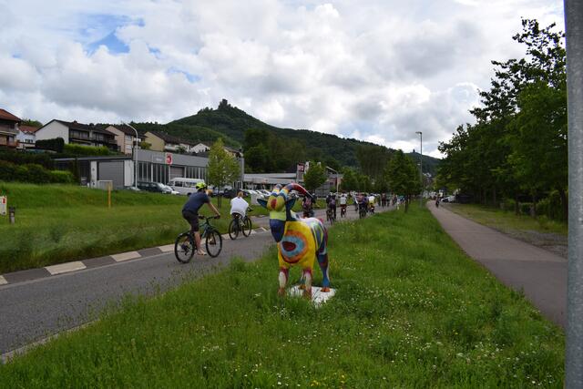 Ein Geisbock begrüsst die Demonstranten in Annweiler. | Foto: B.Bender