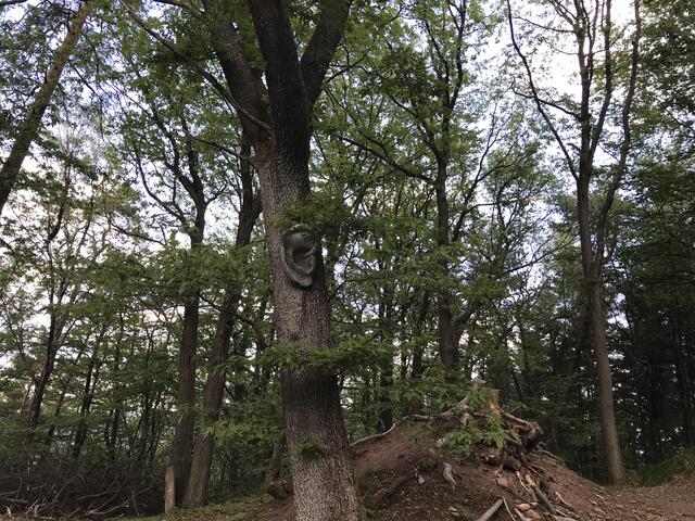 Überraschende Ansichten | Foto: B. Bender