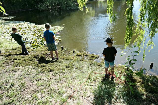 Die Kinder hatten neben der Arbeit viel Spaß beim "Entrümpeln" des Weihers | Foto: Brigitte Melder