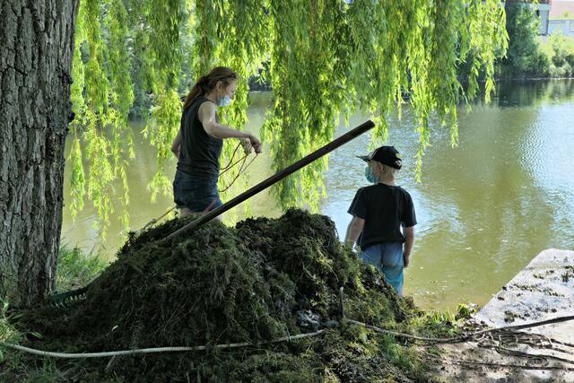 Jede Menge Moos wurde herausgezogen | Foto: Brigitte Melder