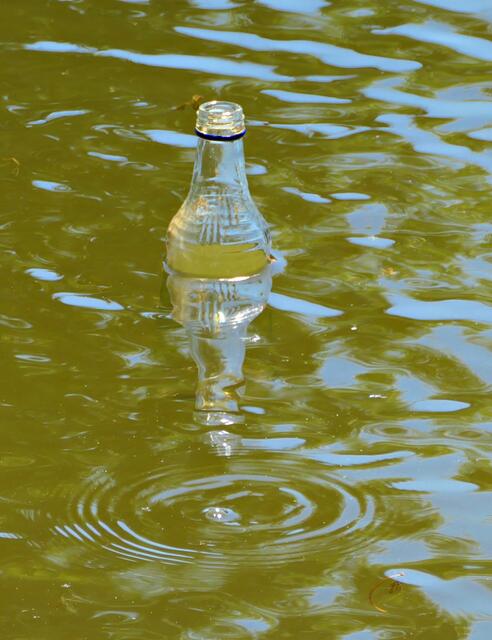 Fast schon Kunst in der Spiegelung | Foto: Brigitte Melder