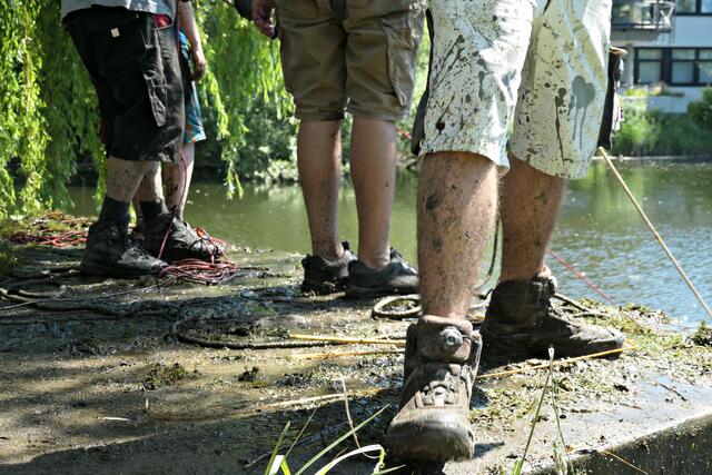 Irgendwie fiel mein Blick immer auf die Beine | Foto: Brigitte Melder