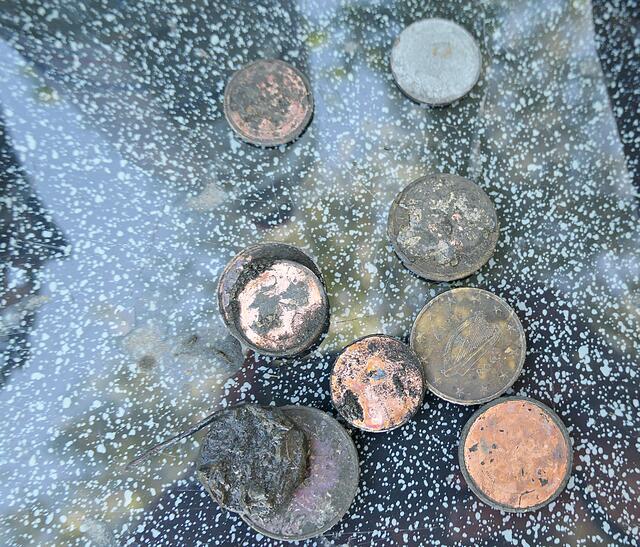 Ausbeute des Tages | Foto: Brigitte Melder