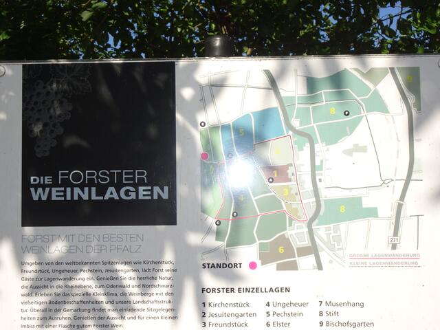 Foto: Markus Pacher