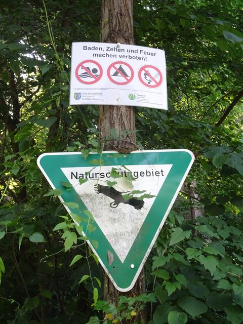 Naturschutzgebiet am Pechsteinkopf. | Foto: Markus Pacher