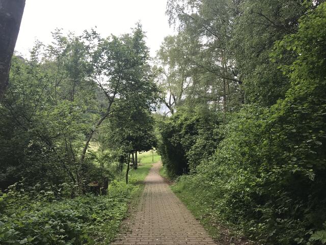 Auf dem Weg zum Altwiesen-Park