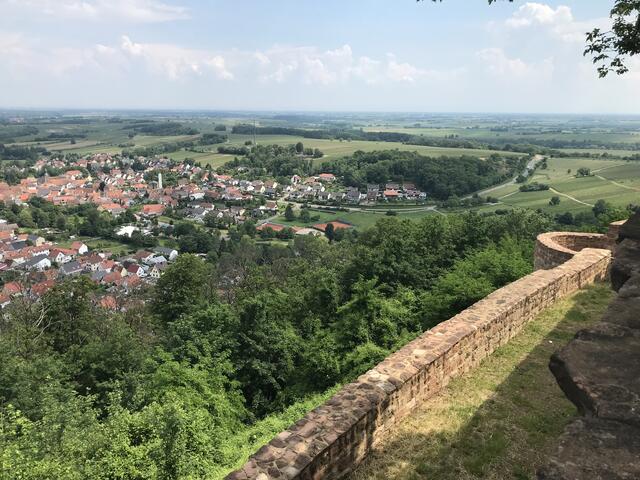 Blick auf Zwinger und Klingenmünster | Foto: B. Bender