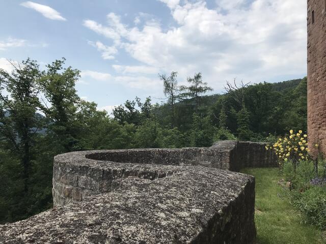 Himmel, Wald und Burg und Rosen | Foto: B. Bender