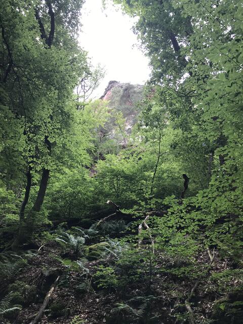 Blick zum Burghalder Felsen
