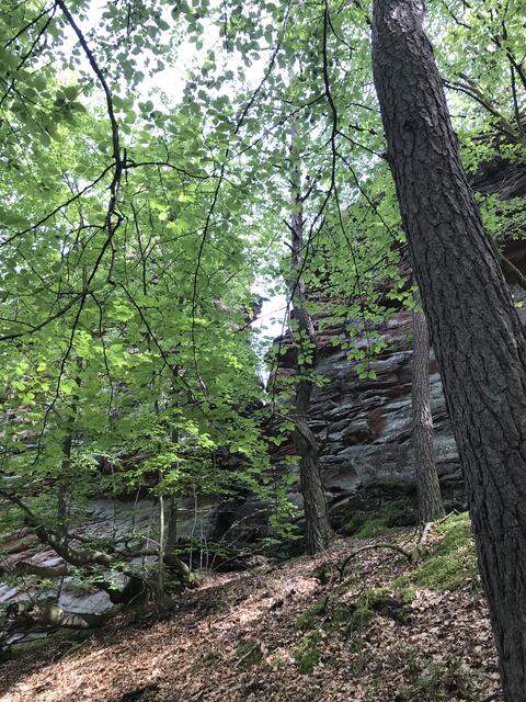 Erster Blick auf den  Lanzenfahrter Fels
