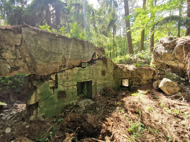 Westwallbunker im Bienwald | Foto: Heike Schwitalla
