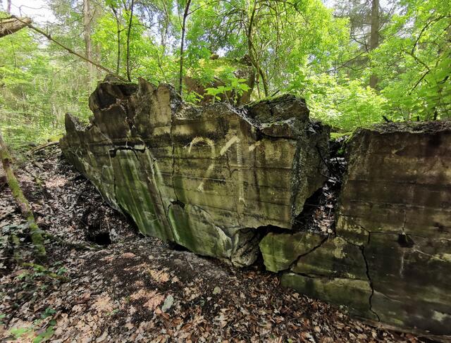Westwallbunker im Bienwald | Foto: Heike Schwitalla