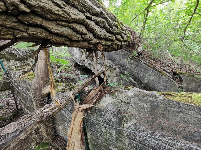 Bunker am Knielinger See in Karlsruhe | Foto: Heike Schwitalla