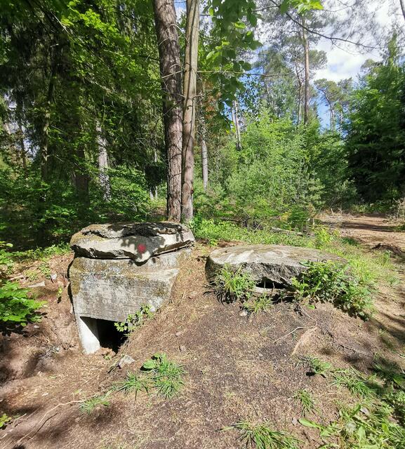 Ein-Mann-Bunker
Erich Koch, der Gauleiter von Ostpreußen, 'erfand' den Ein-Mann-Bunker, den man deshalb auch „Kochbunker“ nannte. Das Bauwerk sollte einem Panzerfaust -Schützen Unterschlupf biete. Im Herbst 1944 wurden im Bienwald noch viele dieser Bauwerke gegraben, kamen aber kaum noch zum Einsatz, da eine da bereits Verteidigung aussichtslos war.  | Foto: Heike Schwitalla