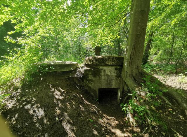 Ein-Mann-Bunker im Bienwald | Foto: Heike Schwitalla