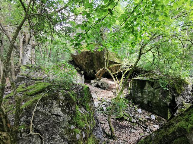 Westwallbunker im Bienwald | Foto: Heike Schwitalla