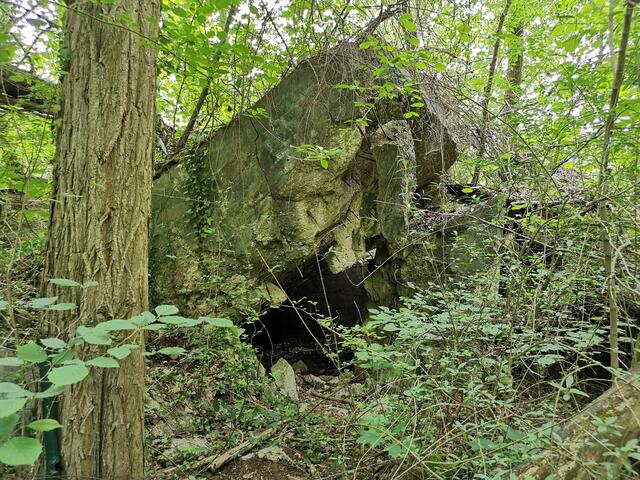 Bunker am Knielinger See in Karlsruhe | Foto: Heike Schwitalla