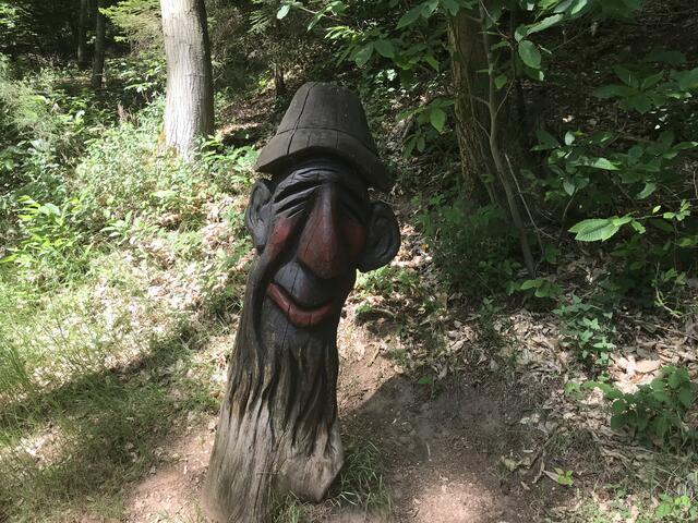 Schräger Geselle | Foto: B. Bender