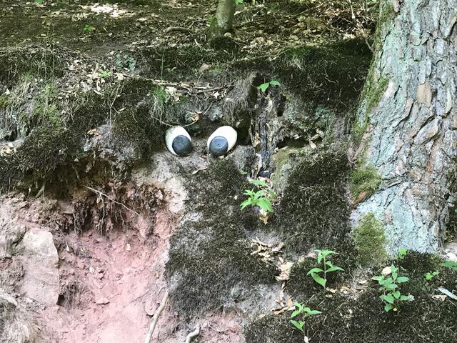 Upps | Foto: B. Bender