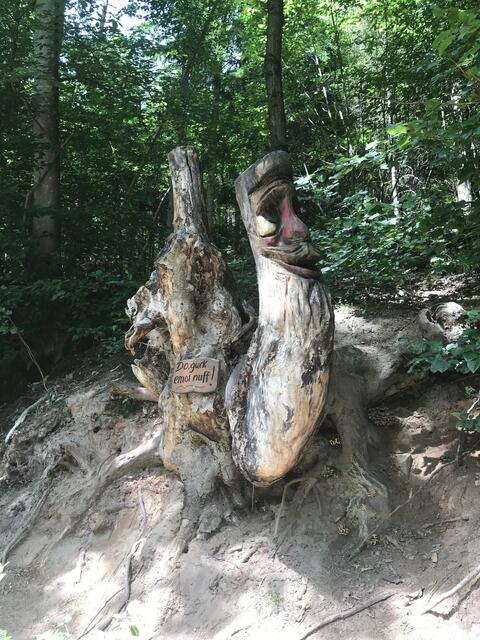 Kunst an der Baumwurzel | Foto: B. Bender