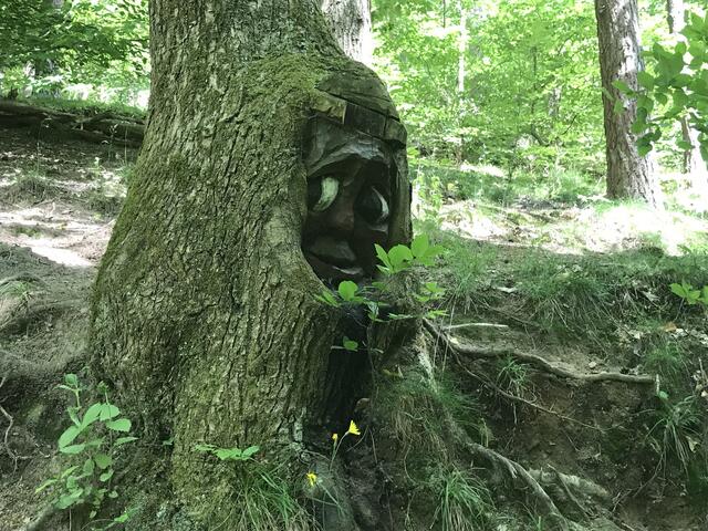 Wer schaut da so ängstlich? | Foto: B. Bender