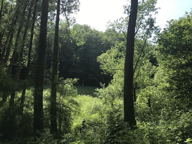 Erholsame Ausblicke (ohne sich beobachtet zu fühlen) | Foto: B. Bender