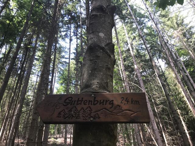 Weiter geht es zur Guttenburg (allerdings ist der Weg für Kinderwagen nicht geeignet) | Foto: B. Bender