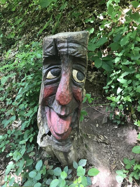 Ein eher freches Exemplar | Foto: B. Bender