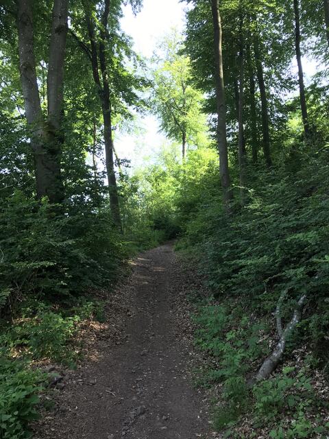 Kurzzeitig geht es etwas steiler bergauf | Foto: B. Bender