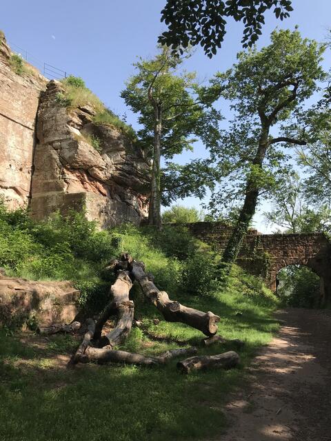 Innenhof der Burg | Foto: B. Bender