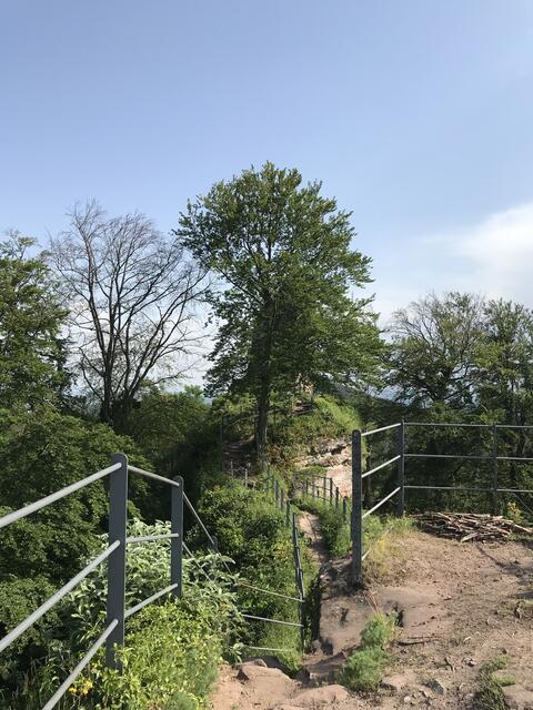 Auf dem Weg Richtung Süden | Foto: B. Bender