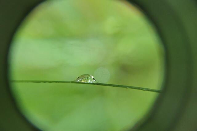 Tropfen unter die Lupe genommen | Foto: Brigitte Melder