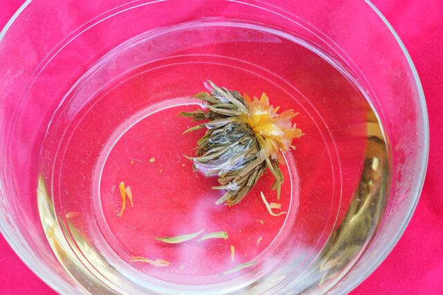 In Wasser aufgegangene Blüte | Foto: Brigitte Melder