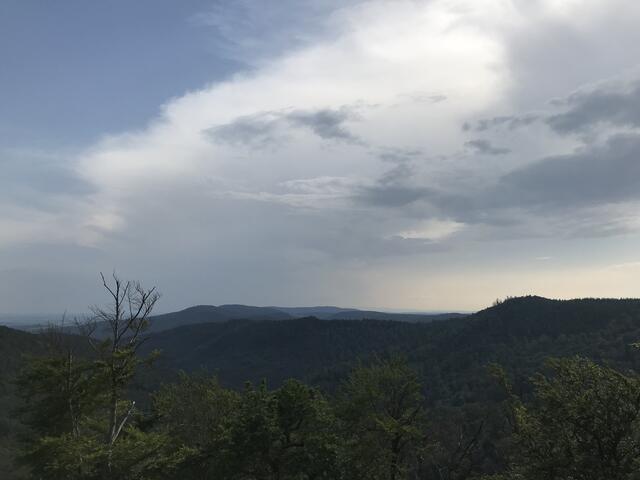 Blick in die Vogesen | Foto: B. Bender