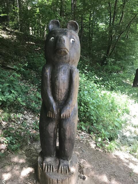 Wurde wohl beim Honig klauen erwischt ?? | Foto: B. Bender