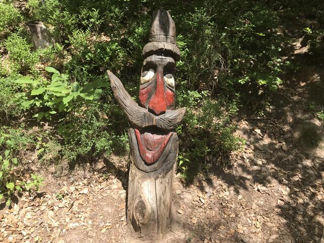 Ob er den Schnauzer-Wettbewerb gewinnt ?? | Foto: B. Bender