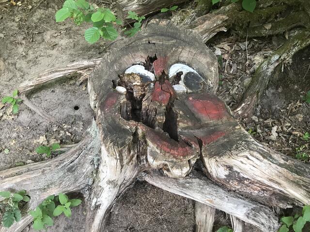 Witterungsbedingt nach einigen Jahren wirklich gruselig anzuschauen | Foto: B. Bender